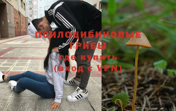 гидропоника Покачи