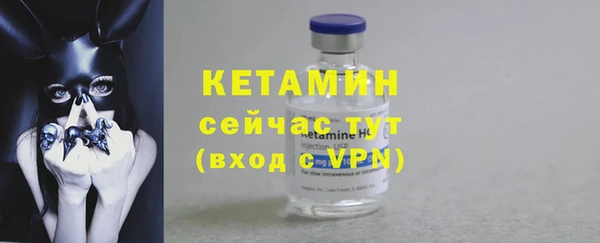 твердый Пересвет