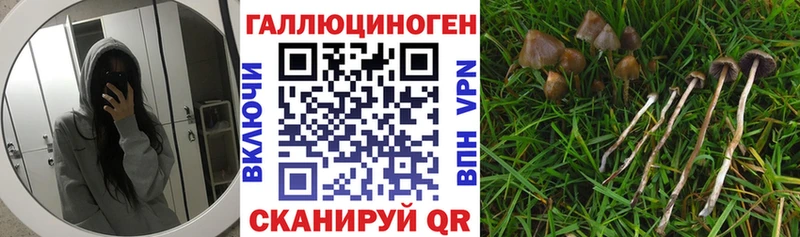 Псилоцибиновые грибы прущие грибы  Гурьевск 