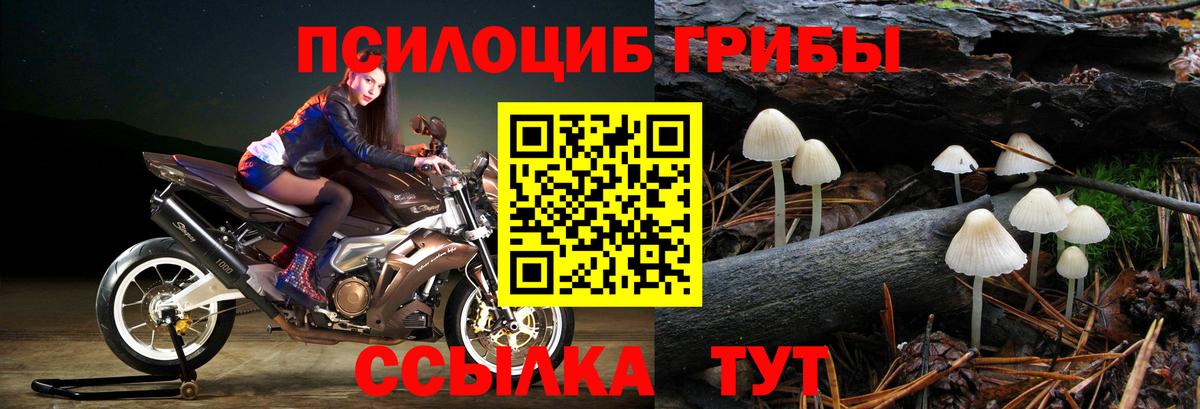 Галлюциногенные грибы ЛСД  купить наркотики цена  Гурьевск 