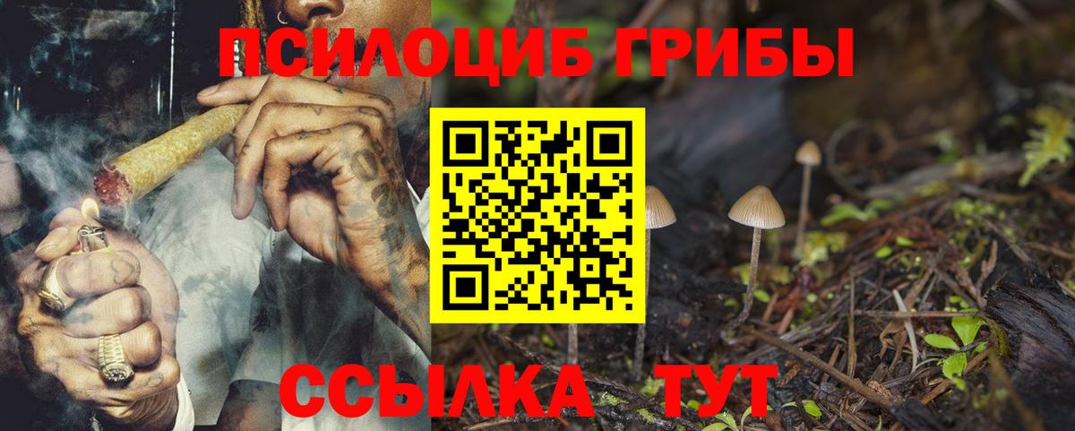 Гурьевск  Галлюциногенные грибы мицелий  Галлюциногенные грибы Psilocybe  Вход с VPN 